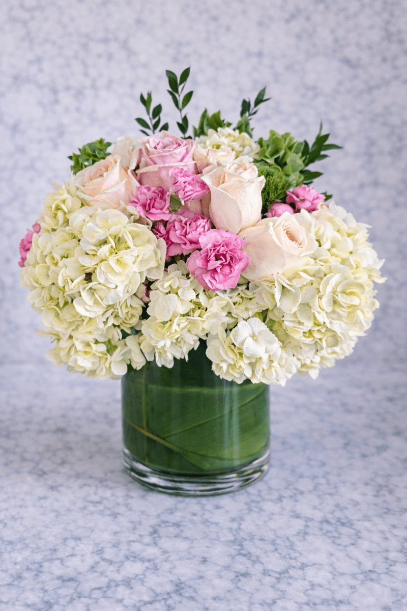 Cloud Nine - Joywell