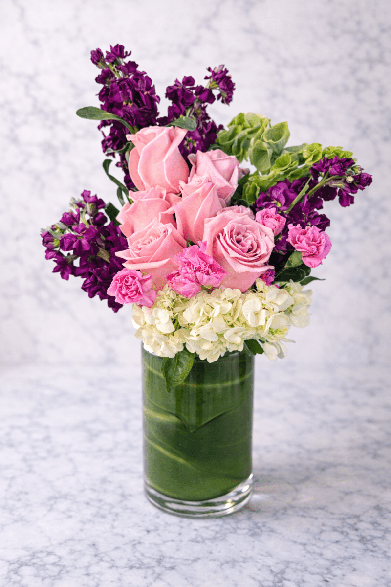 First Impression - Joywell