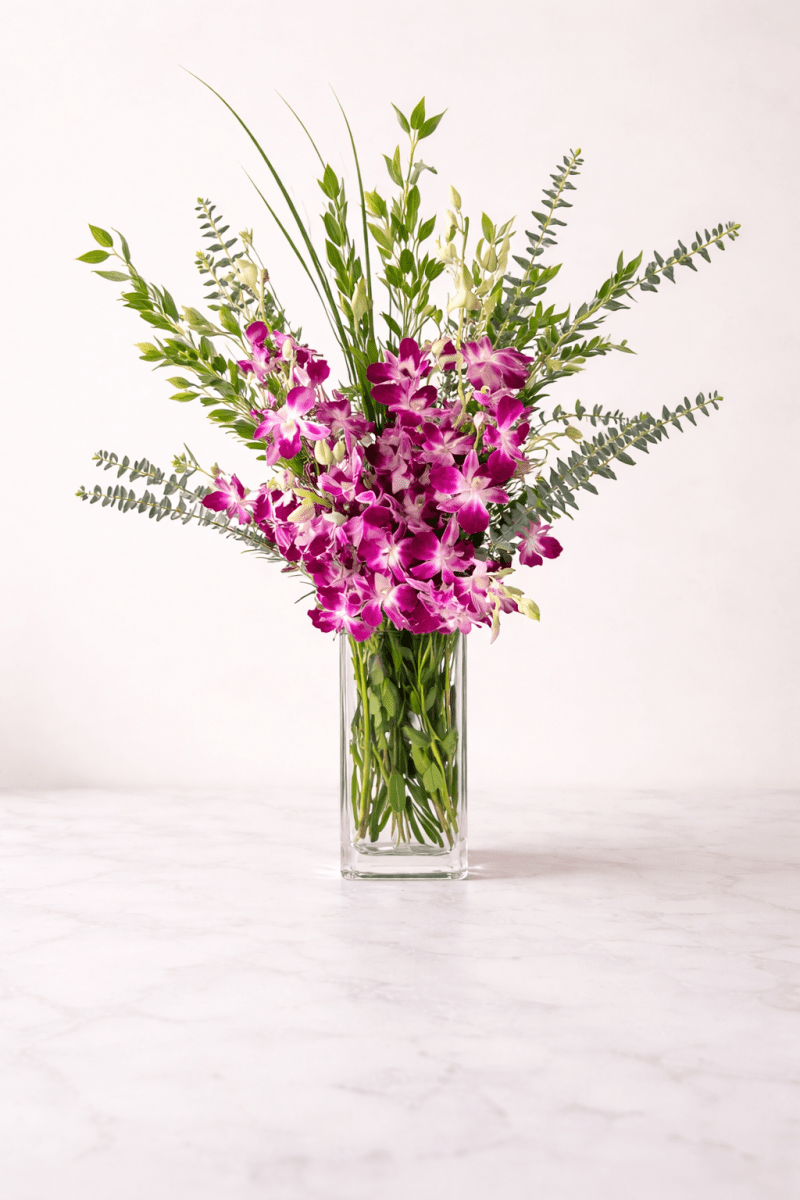 The Everyday Joy - Joywell