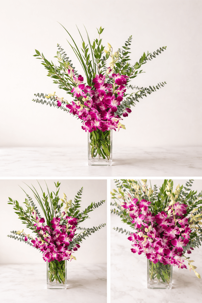 The Everyday Joy - Joywell